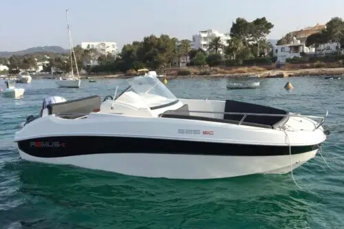 REMUS 525